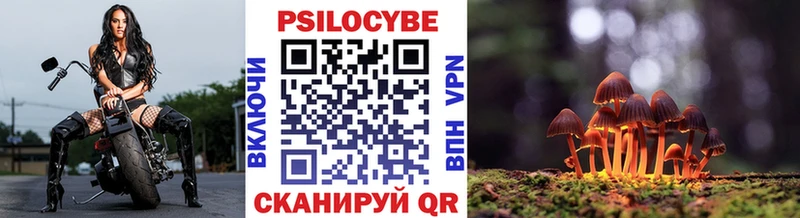 ОМГ ОМГ как зайти  Николаевск-на-Амуре  Галлюциногенные грибы Cubensis 